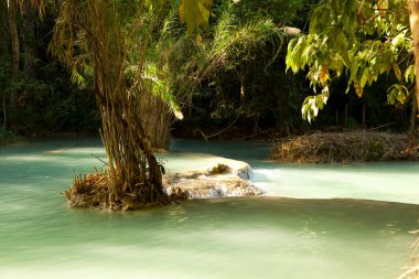 Kuang Si Şelalesi, Luang Prabang, Laos