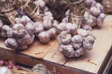 Organik sarımsak. Taze sarımsak ve sarımsak soğanı..
