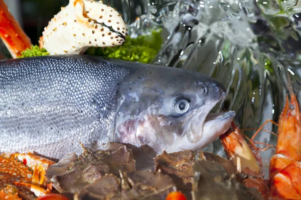 Luxus Buffet Mit Frischen Meeresfrüchten Garnelen Fisch Austern Krabben Und — Stockfoto