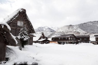 Kışın Shirakawa-go köyünde, Gifu, Japonya 'da geleneksel Gu tarzı bir ev. Shirakawa-go köyü UNESCO 'nun dünya mirası alanlarından biri..