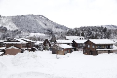 Japonya 'nın tarihi köyü Shirakawago' nun eski evleri..