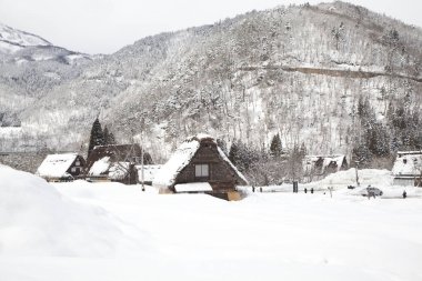 Shirakawago 'nun eski tarz geleneksel evleri, Japonya kışın..