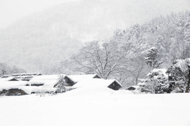 Shirakawago 'nun eski tarz geleneksel evleri, Japonya kışın..