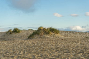 Mavi gökyüzü ve güneş doğarken San Francisco, Ocean Beach 'te.