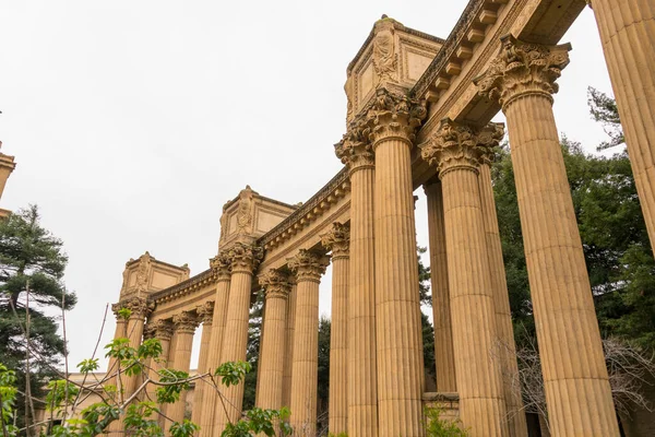 Schöne Ansicht Des Palastes Der Schönen Künste San Francisco Erholung — Stockfoto