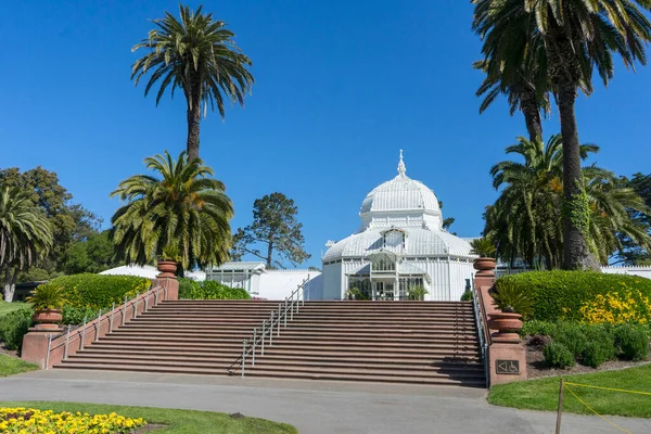 Wintergarten Der Blumen Golden Gate Park San Francisco Kalifornien — Stockfoto