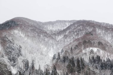 Shirakawago 'nun tarihi köyünün kışın manzarası