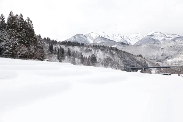 Shirakawago 'nun tarihi köyünün kışın manzarası