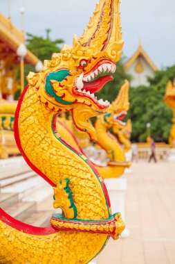 Wat Nongwang, Khon Kaen, Tayland.