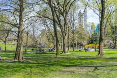 İnsanlar New York, ABD 'deki Central Park' ta bahar havasının tadını çıkarmaya geliyorlar.