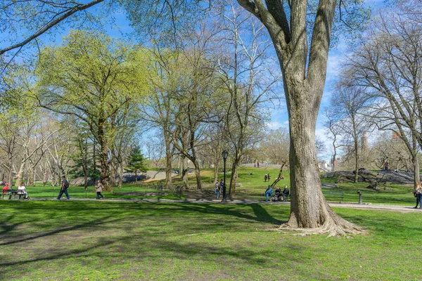 美国纽约州 2018年4月26日 2018年4月26日 人们开始在美国纽约州中央公园享受春季天气 — 图库照片
