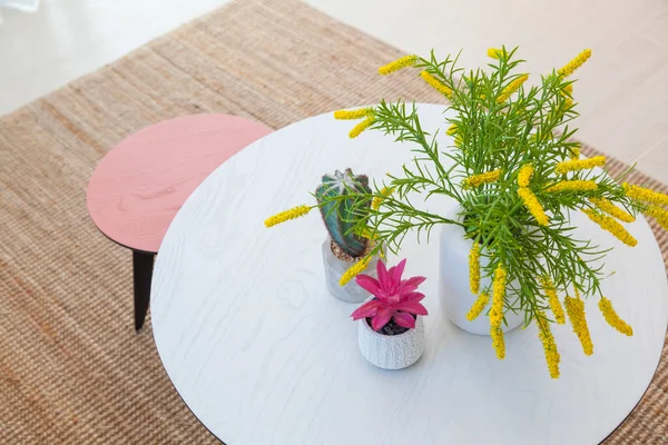 カラフルなリビングルームの白いテーブルの上のサボテンと花の花瓶 — ストック写真