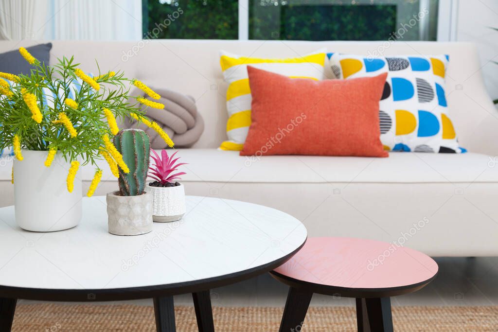 cactus and flower vase on white table in colorful living room.