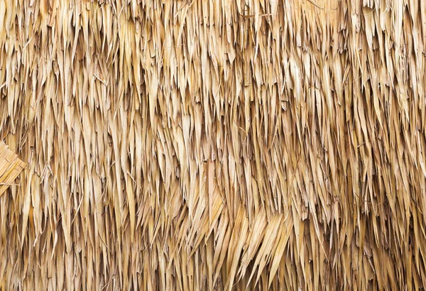 Duvarın arka planı ya da desenleri birbirine dolanmış. Kuru saman ya da duvar gibi sazdan çimenler.