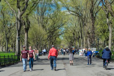 İnsanlar bahar havasının tadını çıkarmak için New York, ABD 'deki Central Park' taki The Mall and Literary Walk 'a geliyorlar. 