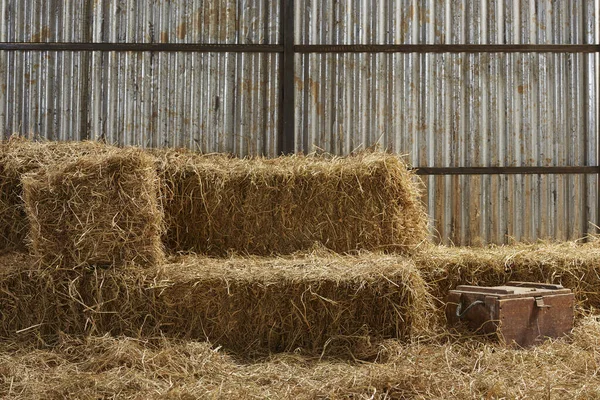 Pile Paglia Secca Raccolte Alimentazione Animale Fienile — Foto Stock