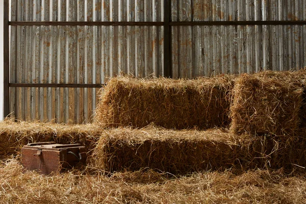 Piled Stacks Dry Straw Collected Animal Feed Barn — Stock Photo, Image
