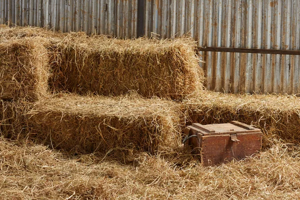 堆放成堆的干草 在谷仓里作为动物饲料收集 — 图库照片