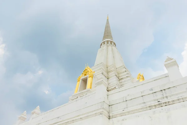 Piękny Chedi Phukhao Thong Ayutthaya Tajlandia — Zdjęcie stockowe