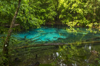 Tayland 'ın Krabi ilindeki Zümrüt Havuzu (Sra Morakot). Tropikal yağmur ormanlarındaki berrak mavi suyun güzel doğa manzarası.