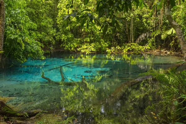 Szmaragdowy Basen Sra Morakot Prowincji Krabi Tajlandia Piękna Scena Natury — Zdjęcie stockowe