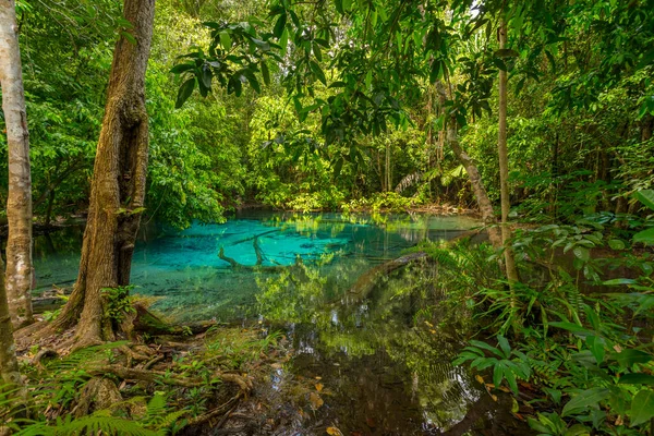 Szmaragdowy Basen Sra Morakot Prowincji Krabi Tajlandia Piękna Scena Natury — Zdjęcie stockowe