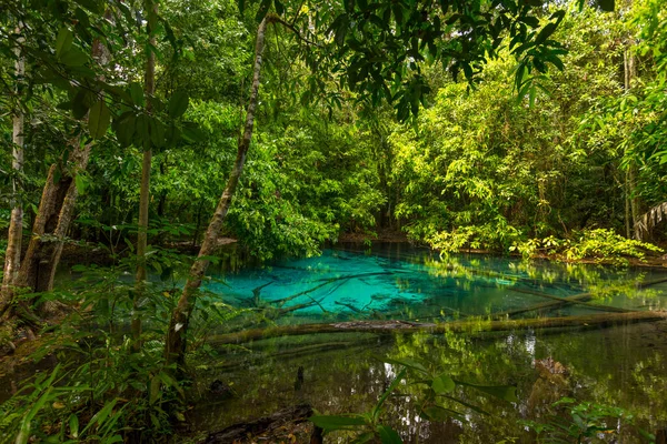 Szmaragdowy Basen Sra Morakot Prowincji Krabi Tajlandia Piękna Scena Natury — Zdjęcie stockowe