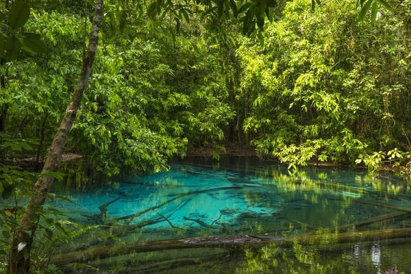 Emerald Pool Sra Morakot Krabi Tartományban Thaiföldön Gyönyörű Természet Jelenet — Stock Fotó