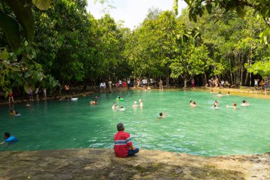 Tayland, Krabi 'deki Emerald Havuz Seyahat Bölgesi' ndeki Islak Orman.