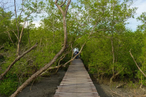 Walking Path Laem Phak Bia Environmental Study Development Project Phetchaburi — Stock Photo, Image