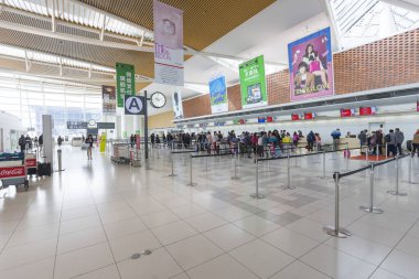 Chitose, Hokkaido, Japonya - 6 Mart 2019: 6 Mart 2019 'da Japonya' nın Hokkaido kentindeki Yeni Shin Chitose havaalanının kalkış salonunda turist kargası.