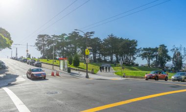 San Francisco Alamos Meydanı 'ndaki yemyeşil ağacın gündüz manzarası, CA