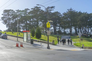 San Francisco Alamos Meydanı 'ndaki yemyeşil ağacın gündüz manzarası, CA