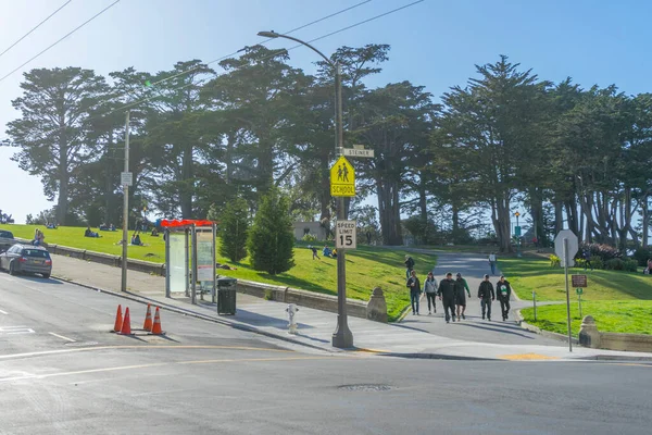 San Francisco Alamos Meydanı 'ndaki yemyeşil ağacın gündüz manzarası, CA