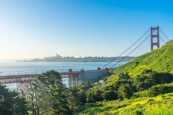 Beautiful Nature Blooming Flower Sca Trail San Francisco Usa — Stock Photo, Image