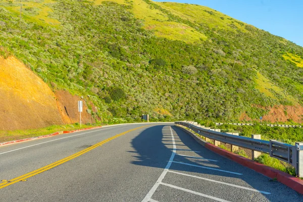 Beautiful Green Tree Mountain View Conzelman San Francisco Usa — Stock Photo, Image