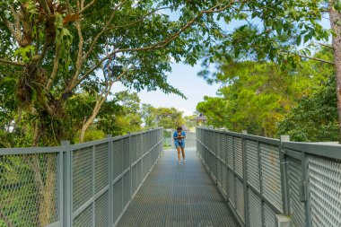 Chiang Mai, Tayland - 30 Kasım 2018: 30 Kasım 2018 'de Chiang Mai, Tayland' daki Kraliçe Sirikit Botanik Bahçesindeki Tepe Yolu 'nda yürüyen kimliği belirsiz kişiler.