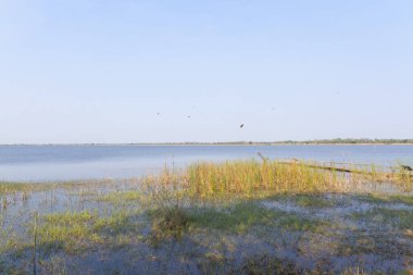Sabah göl manzarası çok güzel.  