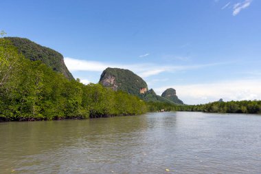 Güney Tayland 'da Phuket yakınlarındaki Phang-Nga Körfezi manzarası