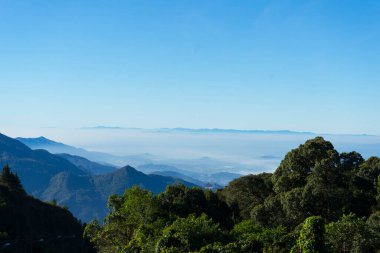 Doi Inthanon Chaingmai Tayland 'daki Kew Mae Pan doğa yolu dağ zirvesi panoramik.