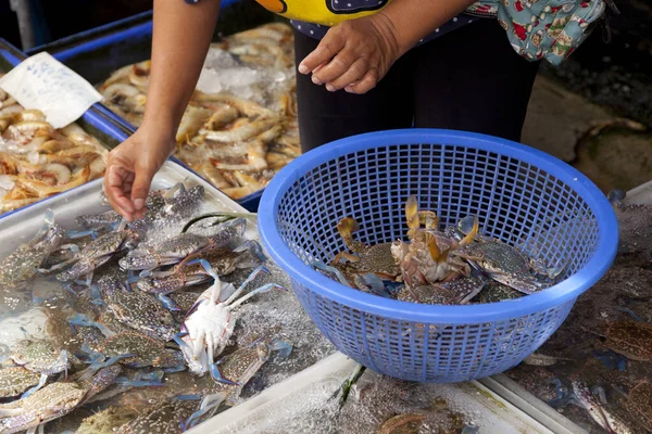 Fisch Und Meeresfrüchte Auf Einem Markt — Stockfoto