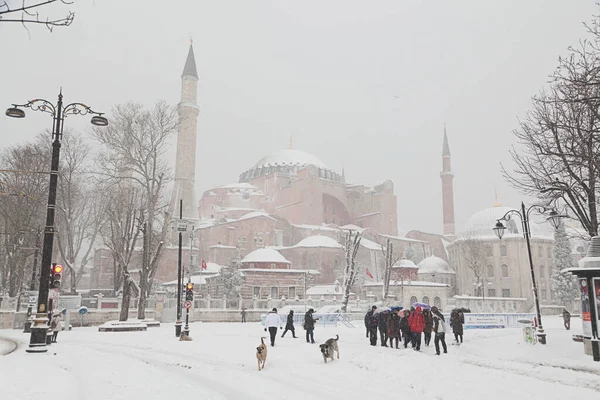 Istanbul Türkei Dezember Touristen Besuchen Die Hagia Sophia Vor Dem — Stockfoto