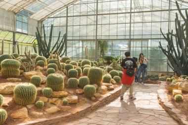 Chiang Mai, Tayland - 1 Aralık 2018: Chiang Mai, Tayland 'daki Kraliçe Sirikit Botanik Bahçesi' ndeki Arid fabrikalarında yürüyen kimliği belirsiz kişiler.