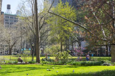 Şehir parkının güzel manzarası 