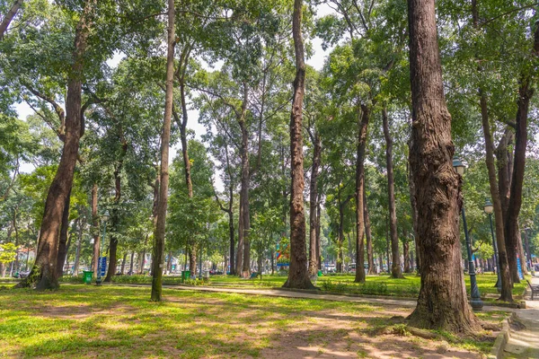 Зелені Дерева Парку Вдень — стокове фото