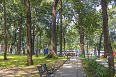 Ho Chi Minh, Vietnam - 17 Ekim 2019 Ho Chi Minh 'de yeşil çimenlik ve park