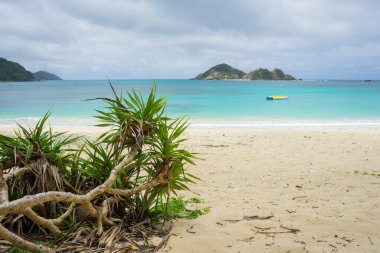 Yeşil ağaçları ve mavi gökyüzü olan güzel tropikal plaj