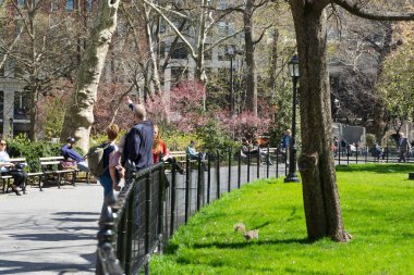 Şehirdeki güzel parktaki insanlar
