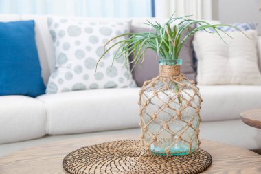 Kanepe ve bitkilerle dolu lüks bir ev.  