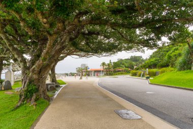 George Town, Malezya 'da şehir manzarası 